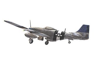 Mustang model